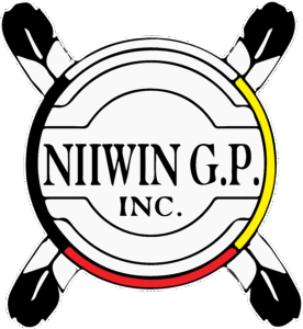 niiwin-larger-logo